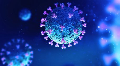باحثون يطورون نموذجا جديدا يمكنه مواجهة المتغيرات الناشئة لفيروس كورونا الجديد