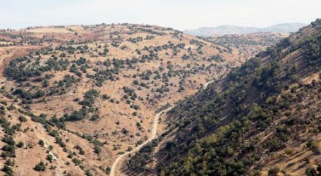 لبنان يضبط آلاف الليترات من المحروقات معدة للتهريب إلى سوريا