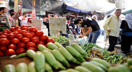 مخاوف من أزمة غذائية في سوريا في ظل تراجع زراعة الخضار والفواكه بنسبة كبيرة