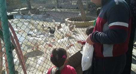 500 مليون ليرة تصرف سنويا للعناية بحيوانات حديقة العدوي في دمشق