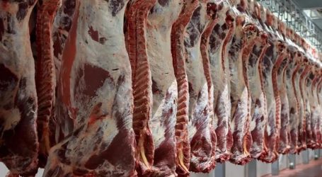 اللحوم تسجل ارتفاعاً جديداً في دمشق